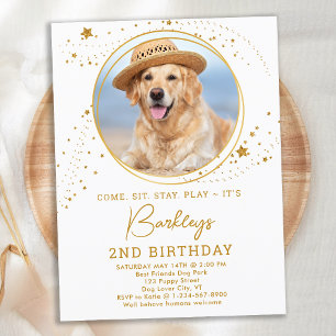 Gold Stars Dog Birthday Persoonlijke foto van Pet Uitnodiging Briefkaart