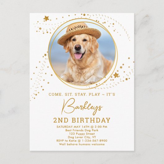 Gold Stars Dog Birthday Persoonlijke foto van Pet Uitnodiging Briefkaart (Voorkant)