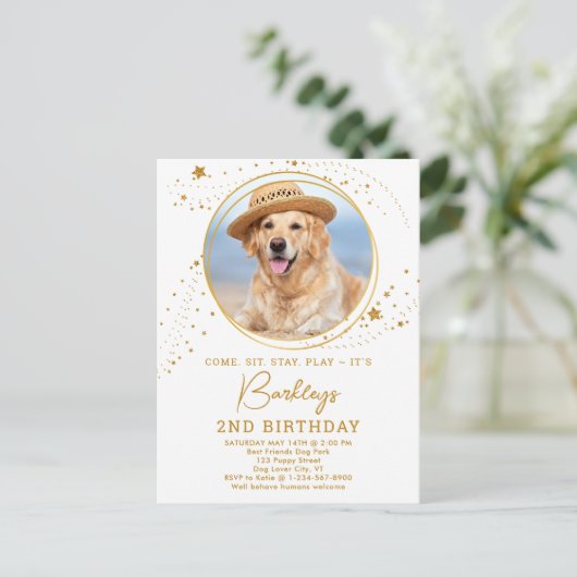 Gold Stars Dog Birthday Persoonlijke foto van Pet Uitnodiging Briefkaart (Staand voorkant)