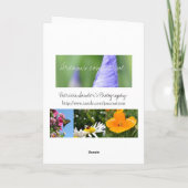 Gold Stars Kerstvrede Feestdagen Kaart (Achterkant)