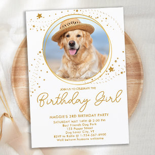 Gold Stars Persoonlijke foto van Pet Birthday Kaart