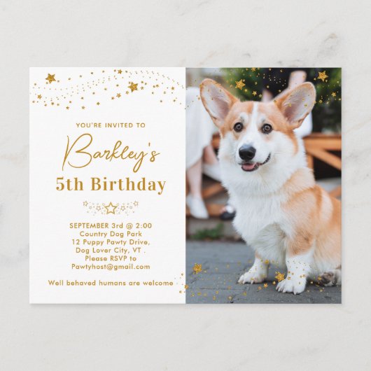 Gold Stars Persoonlijke foto van Pet Birthday Uitnodiging Briefkaart (Voorkant)