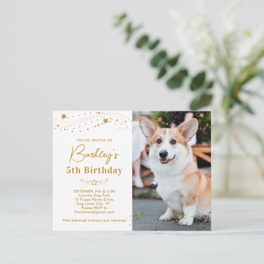Gold Stars Persoonlijke foto van Pet Birthday Uitnodiging Briefkaart (Staand voorkant)