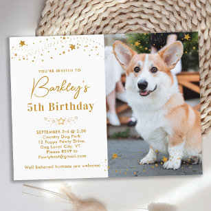Gold Stars Persoonlijke foto van Pet Birthday Uitnodiging Briefkaart