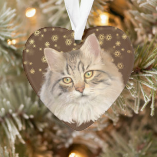 Gold Stars Tabby Cat Grandchild Ornament