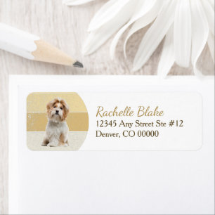 Gold Stripe Shih-Tzu Dog Return-adres Etiket