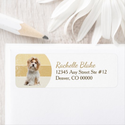 Gold Stripe Shih-Tzu Dog Return-adres Etiket (Insitu)
