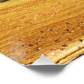 Gold Stripes op Metal Glamor Cheetah Skin Perfect Poster (Hoek)