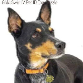 Gold Swirl IV Huisdierpenning