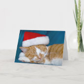 Gold tabby kaart (Voorkant)