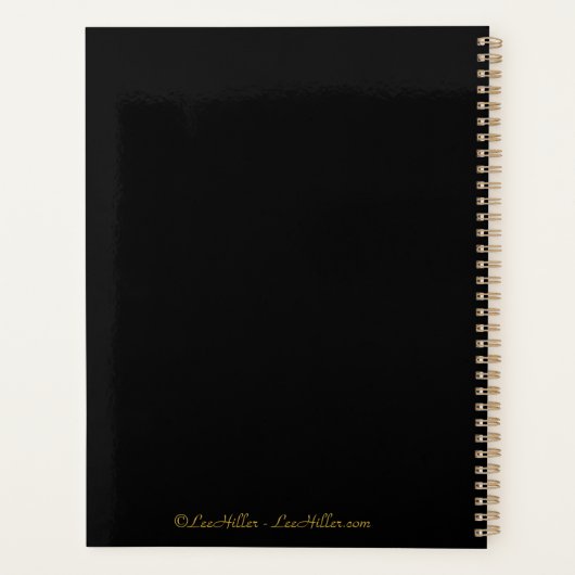  Gold Third Eye Hamsa Planner (Achterkant)