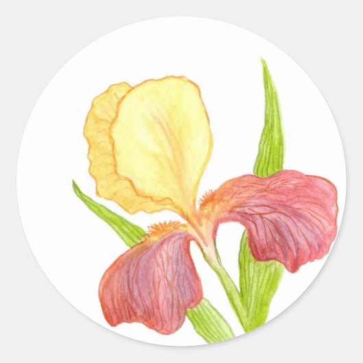 Gold Top Iris-Sticker Ronde Sticker (Voorkant)