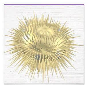 Gold Urchin Foto Afdruk