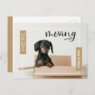 Gold We verplaatsen Dachshund Dog in Box Briefkaar Briefkaart