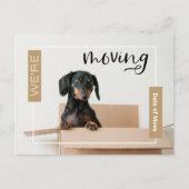 Gold We verplaatsen Dachshund Dog in Box Briefkaar Briefkaart (Voorkant)
