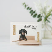 Gold We verplaatsen Dachshund Dog in Box Briefkaar Briefkaart (Staand voorkant)