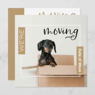 Gold We verplaatsen Dachshund Dog in Box Kaart