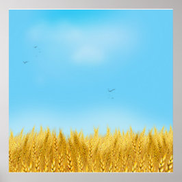 Gold Wheat Field Blue sky Oil Painting Summer Poster