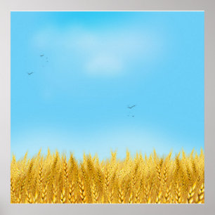 Gold Wheat Field Blue sky Oil Painting Summer Poster