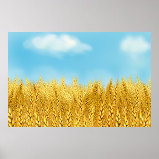 Gold Wheat Field Blue sky Oil Painting Summer Poster (Voorkant)