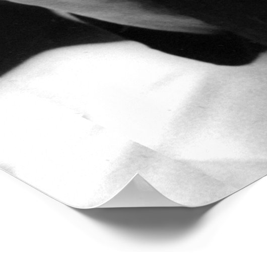 Golda Meir, Israëlische premier Poster (Hoek)