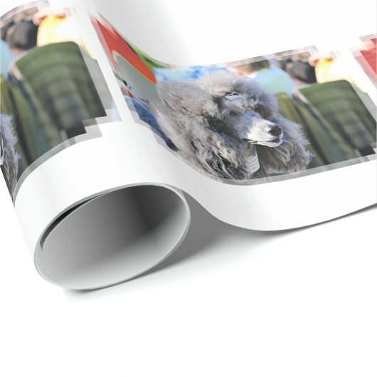 Goldberg - Chanel - Standard Poodle Cadeaupapier (Rol Hoek)