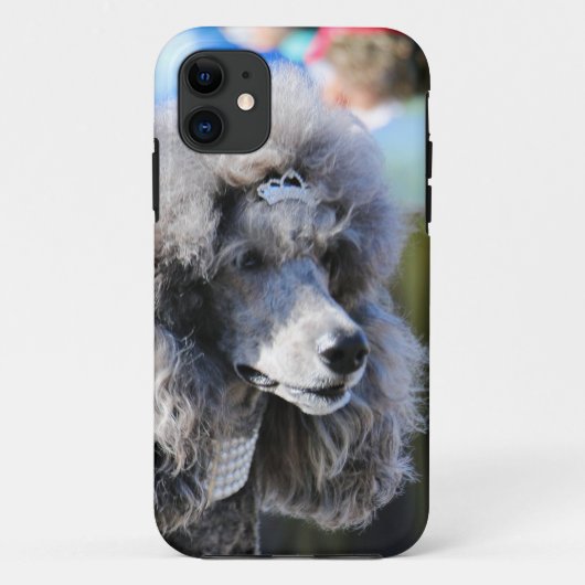 Goldberg - Chanel - Standard Poodle Case-Mate iPhone Case (Achterkant)