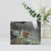 Goldcrest Briefkaart (Staand voorkant)