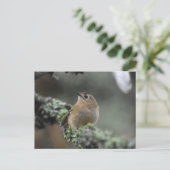 Goldcrest Briefkaart (Staand voorkant)