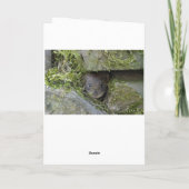 Goldcrest in het bos kaart (Achterkant)