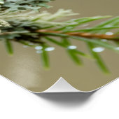 Goldcrest Macro Wildlife Poster (Hoek)