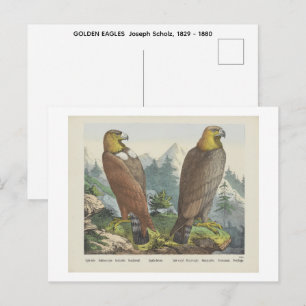 GOLDEEREN ADelaars Joseph Scholz, 1829 - 1880 Briefkaart