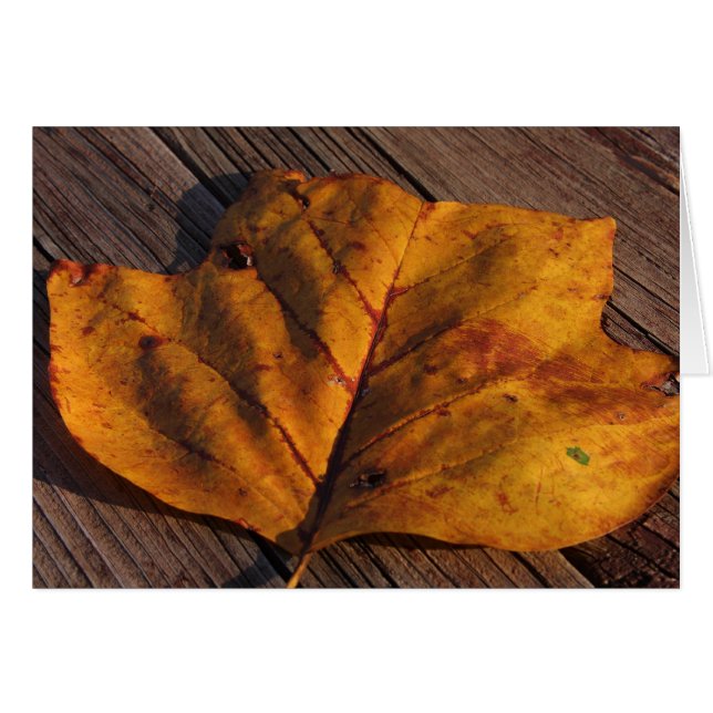 Golden (Voorkant Horizontaal)