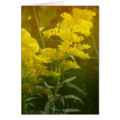 Golden (Voorkant)