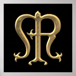 Golden "3-D" Maagd Mary Symbol Poster