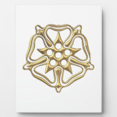 Golden "3-D"-Roos Fotoplaat (Voorkant)