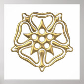 Golden "3-D"-Roos Poster (Voorkant)