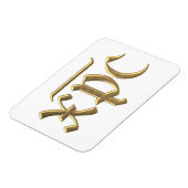 Golden "3-D" XPC Magneet (Linkerzijde)