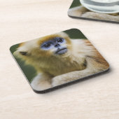 Golden aap bier onderzetter (Linkerzijde)