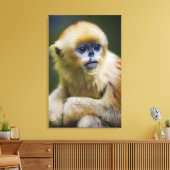 Golden aap canvas afdruk (Insitu (Woonkamer))