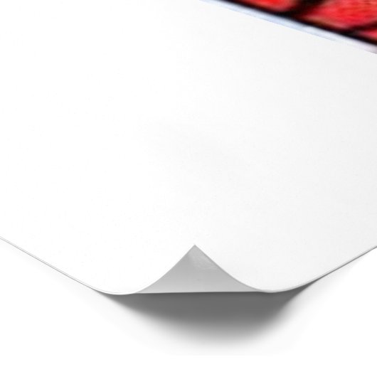 Golden age horror strips |  strips van 90 jaar poster (Hoek)