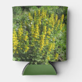 Golden Alexanders Loosestrife Spring Blikjeskoeler (Voorkant)