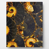 Golden Amber black Nautilus shell patroon, fossiel Fotoplaat (Voorkant)
