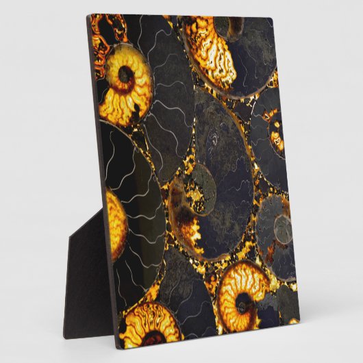 Golden Amber black Nautilus shell patroon, fossiel Fotoplaat (Zijkant)