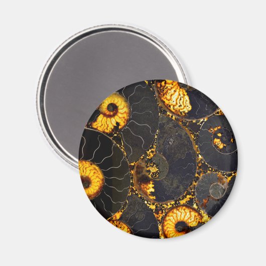 Golden Amber black Nautilus shell patroon, fossiel Magneet (Voorkant / Achterkant)