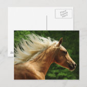 Golden Ambers Briefkaart (Voorkant / Achterkant)