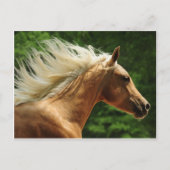 Golden Ambers Briefkaart (Voorkant)