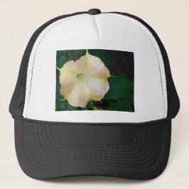 Golden Angels trompet dicht Trucker Pet