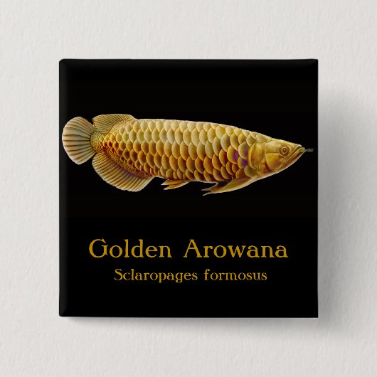 Golden Arowana Fish Pin Vierkante Button 5,1 Cm (Voorkant)