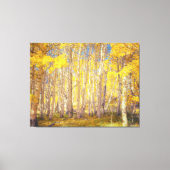 Golden Aspen Forest Canvas Afdruk (Voorkant)